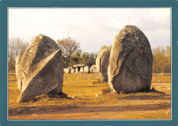 CARNAC  MENHIRS  Et Dolmen  De Kermario  Alignements  30 (scan Recto Verso)MF2797VIC - Carnac