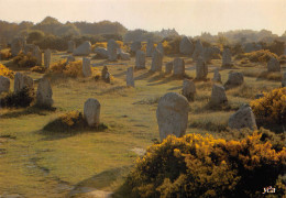 CARNAC  Alignement Du MENEC Menhirs  48 (scan Recto Verso)MF2797VIC - Carnac