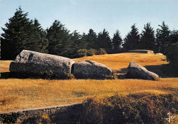 LOCMARIAQUER  Le Menhir Brisé  4 (scan Recto Verso)MF2798 - Locmariaquer