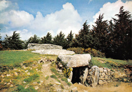 LOCMARIAQUER  Le Tumulus De Mane Er  Hroec'h   10 (scan Recto Verso)MF2798 - Locmariaquer