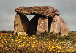 LOCMARIAQUER  Le Dolmen De KERCADORET   12 (scan Recto Verso)MF2798 - Locmariaquer