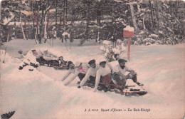 SPORT D'HIVER EN BOBSLEIGH - Wintersport