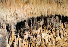 46  GOURDON Grottes Prehistorique De COUGNAC L'Autel Et Sa Dentelle De Pierre 12  (scan Recto Verso)MF2798VIC - Gourdon