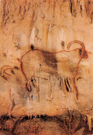 46  GOURDON Grottes Prehistorique De COUGNAC Le Grand Bouquetin  14  (scan Recto Verso)MF2798VIC - Gourdon