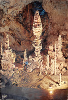 07 AVEN D' ORGNAC  Stalagmite Pomme De Pin  20 (scan Recto Verso)MF2799BIS - Vallon Pont D'Arc