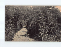 LE RAINCY : Promenade De La Petite Dhuys - état - Le Raincy