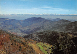 07  LA LOUVESC   Perspective Sur La Chaine Des Alpes  21 (scan Recto Verso)MF2799UND - La Louvesc