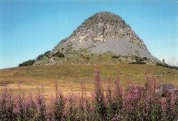 07  SAINT MARTIAL  STE EULALIE  Le Mont GERBIER DE JONC Alt 1551 Metres  28 (scan Recto Verso)MF2799VIC - Autres & Non Classés