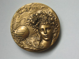 Imposante Médaille Calendrier, Visage De L'Europe **** EN ACHAT IMMEDIAT **** - Professionnels / De Société