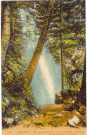 CPA - LUCHON - VALLEE DU LYS - GRANDE CASCADE DU GOUFFRE D'ENFER (COLORISE - RARE - 1925) - Luchon