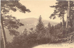 CPA -LA LOUVESC - UN COIN DE LA FORET DU MONT-CHAIX - La Louvesc