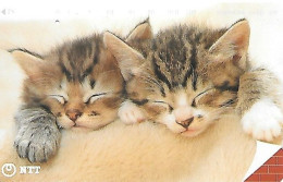 Japan: NTT - 231-266 Sleeping Cats - Japón