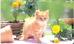 Japan: NTT - 231-201 Cat In Flowergarden - Japón