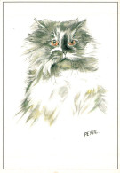 O6 - Carte Postale Illustrateur Peyjil - Chat - Altri & Non Classificati