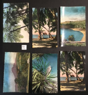 LOT 23: 5 Cartes Postales Anciennes De MARTINIQUE. Bon état. - Other & Unclassified