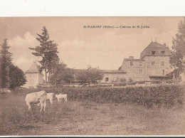 69 // SAINT MAMERT   Château De St Julien - Sonstige & Ohne Zuordnung