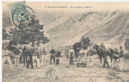 38 // 12 Eme Bataillon De Chasseurs - Parc A Mulets Au ROSIER / MILITARIA - Sonstige & Ohne Zuordnung