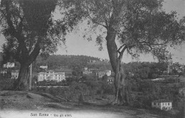 ITALIE SAN REMO FRA GLI ULIVI - San Remo