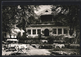 AK Berchtesgaden, Restaurant Lockstein, Gastgarten  - Berchtesgaden