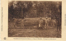 Voie Ferrée De St Laurent Du Maroni Au Camp De Charvein Transport De Billes De Bois, Rare - Saint Laurent Du Maroni