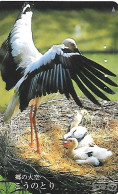 Japan: NTT - 331-461 Stork - Japón