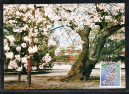 JAPAN GIAPPONE 1990 FLORA FLOWERS PREFECTURE FLOWER 62y MAXI MAXIMUM CARD - Tarjetas – Máxima