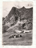 CPM. 15 X 10,5  -  VALLORCINE  -  Chalets De Loriaz Et Les Aiguilles - Autres & Non Classés