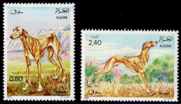 Algérie /Algeria 1983, Hunde/Chiens/Dogs: Slughi (lévrier Arabe)/Slughi (Arabian Greyhound), MiNr. 838-839 - Chiens
