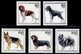 Bundesrepublik Deutschland 1995, Dogs: Small Münsterländer, Medium Schnauzer, Wolfspitz, Etc., MiNr. 1797-1801 - Hunde