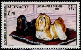 Monaco 1980, Exposition Canine Internationale/International Dog Show, Monte Carlo: Lhasa-Apso And Shih-Tzu, MiNr. 1035 - Dogs