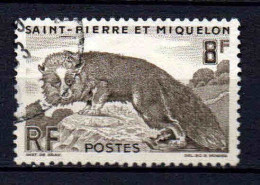 St Pierre Et Miquelon    - 1952 -  Renard Argenté  - N° 345 - Oblit - Used - Used Stamps