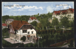 AK Freudenstadt, Villen-Kolonie Und Kurhotel Palmenwald  - Freudenstadt