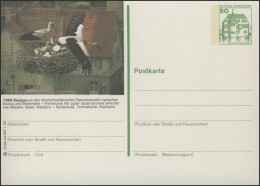 P134-j5/069 7968 Saulgau - Storchenkarte ** - Cartes Postales Illustrées - Neuves