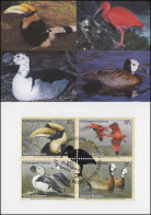 MK 80 Von UNO New York 890-893 Gefährdete Arten Vögel 2003, Amtl. Maximumkarte  - Sonstige & Ohne Zuordnung