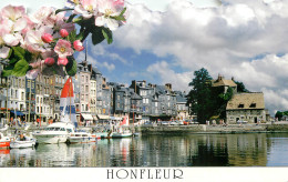 HONFLEUR Le Vieux Bassin Le Quai Sainte Catherine Et Ses Facades Typique 15(scan Recto Verso)ME2687 - Honfleur