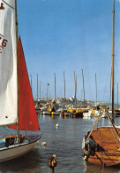 ANTIBES L'école De Voile Du Club Nautique Antibois  41 (scan Recto Verso)ME2692TER - Cap D'Antibes - La Garoupe