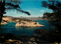 CASSIS-SUR-MER Entrée De La Calanque De Port-miou 15(scan Recto Verso)ME2694 - Cassis