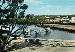 AVIGNON Le Pont St Bénézet Vu Du Rocher Des Doms 16 (scan Recto Verso)ME2695 - Avignon (Palais & Pont)