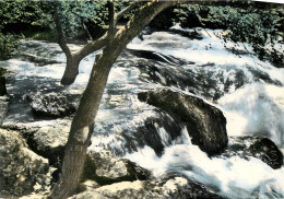 FONTAINE DE VAUCLUSE Le Torrent De La Sorgue 23(scan Recto Verso)ME2699 - Sonstige & Ohne Zuordnung