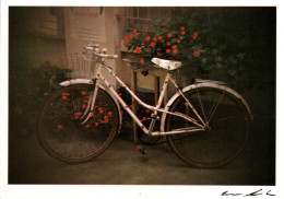 CPM - VÉLO - Photo Carlos SPAVENTA ... LOT 3 CP / Edition Cartes D'Art - Other & Unclassified