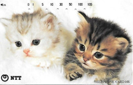 Japan: NTT - 111-093 Cats - Japón