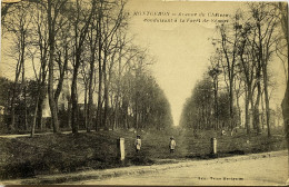 CPA MONTGERON (Essonne). Avenue Du Château Conduisant à La Forêt De Sénart - Montgeron