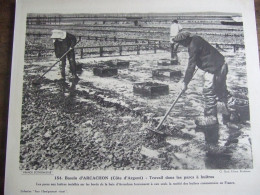 BASSIN D 'ARCACHON  (COTE D'ARGENT) / TRAVAIL DANS LES PARCS A HUITRES - Geografía