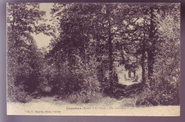 27 - CONCHES - LA FORET - SOUS BOIS -  - Conches-en-Ouche