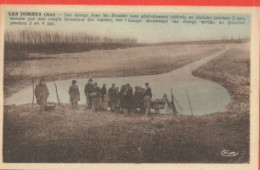 Les Dombes Les Etangs Dans Les Dombes Cultives En Cereales Pendant 2 Ans Ensuite Fermeture Des Vannes - Non Classificati