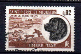 St Pierre Et Miquelon    - 1973 -  Chien De Terre Neuve - Tb Taxe  -  N° 77  - Oblit - Used - Segnatasse