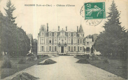 41 SALBRIS  Château D'orties   2 Scans - Salbris