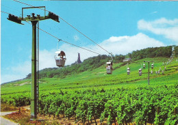 RUDESHEIM AM RHEIN, HESSE, GERMANY. UNUSED POSTCARD Ms7 - Rüdesheim A. Rh.