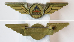 Insigne Civile-USA-aviation_broche Delta Airlines_20-24 - Tarjetas De Identificación De La Tripulación