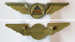 Insigne Civile-USA-aviation_broche Delta Airlines_20-24 - Badges D'équipage